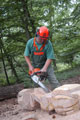 Click to see it big Ich mit Kettensäge, Impression aus dem Wald